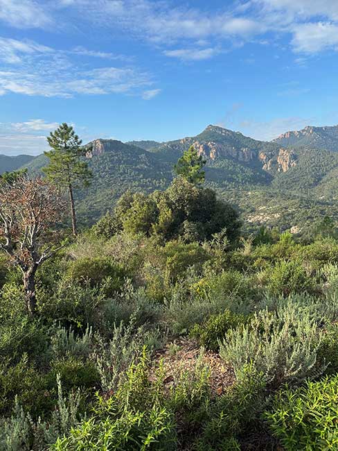 Trekking Esterel